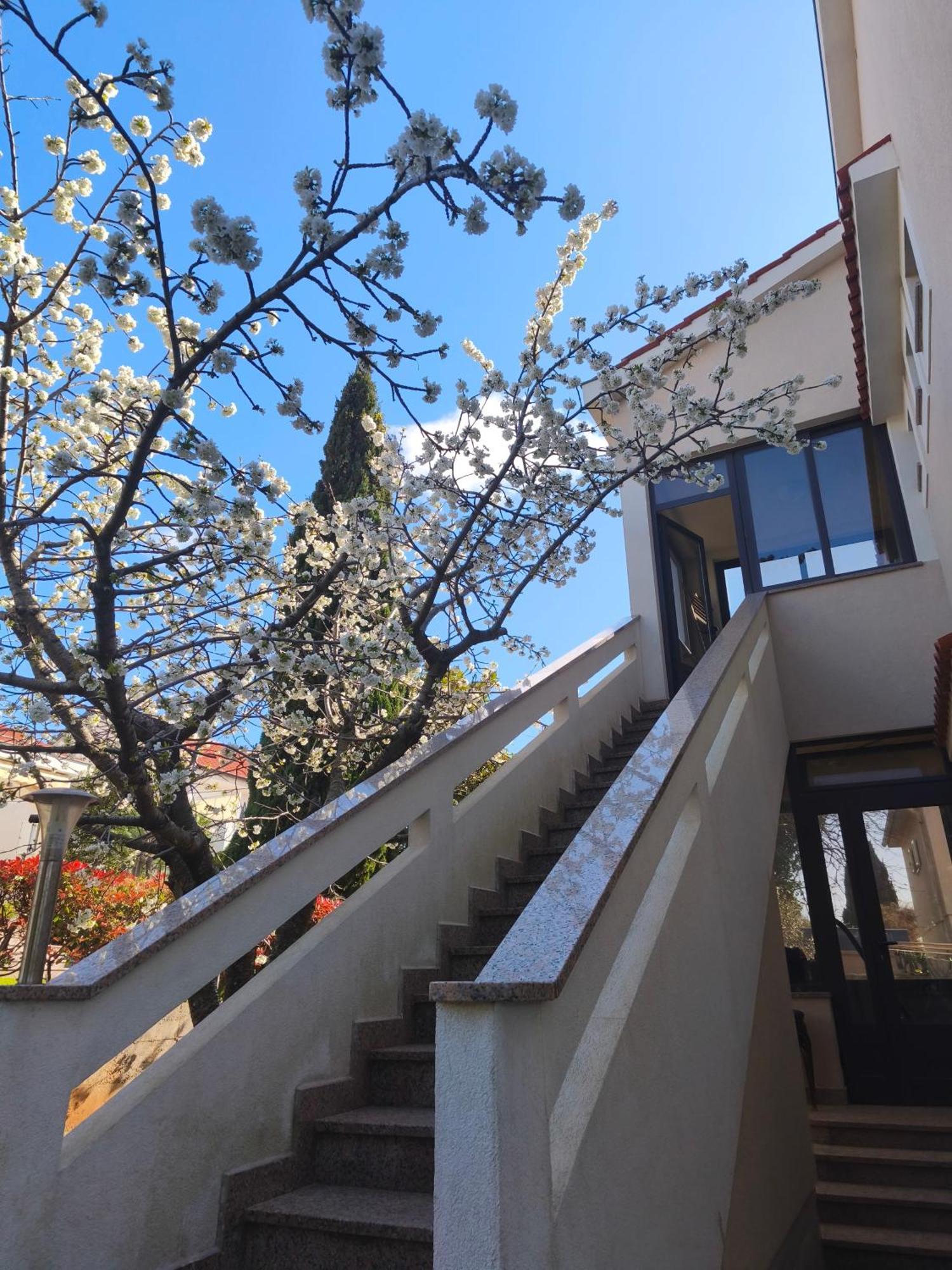 Apartmani Romana Punat Buitenkant foto